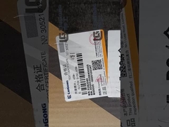 (ليوجونغ كلتش)